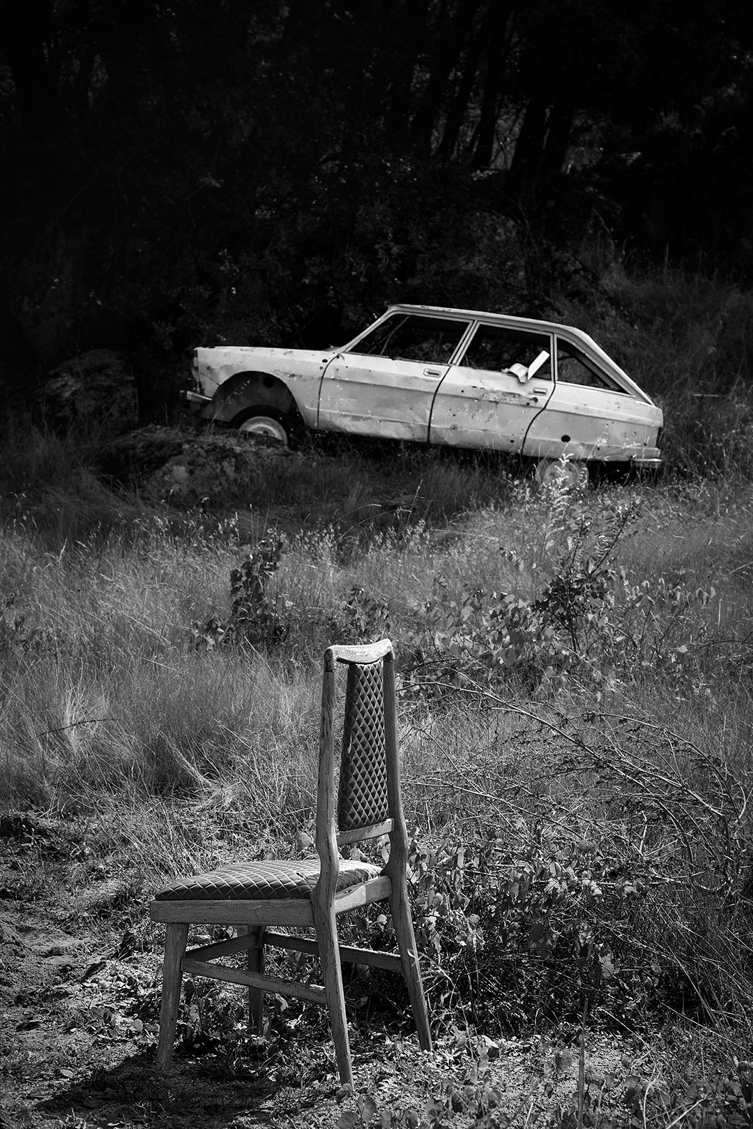 A chair and an abandoned car among vegetation.